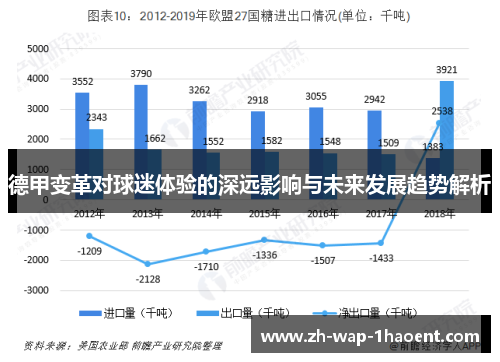 德甲变革对球迷体验的深远影响与未来发展趋势解析