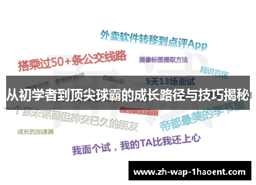 从初学者到顶尖球霸的成长路径与技巧揭秘