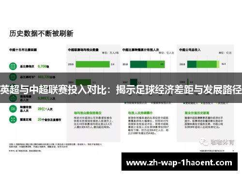 英超与中超联赛投入对比：揭示足球经济差距与发展路径
