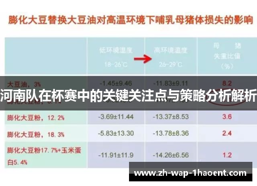 河南队在杯赛中的关键关注点与策略分析解析