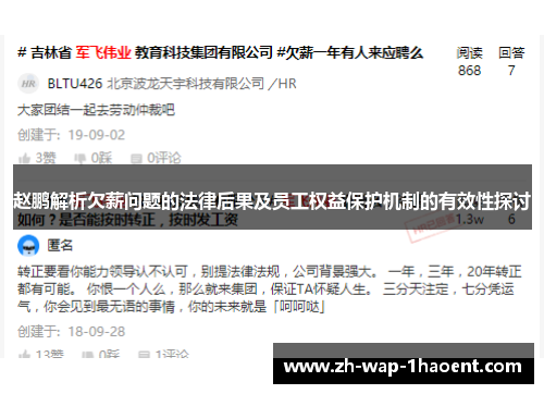 赵鹏解析欠薪问题的法律后果及员工权益保护机制的有效性探讨