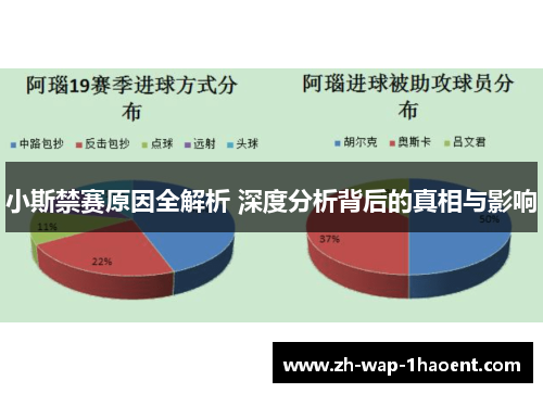 小斯禁赛原因全解析 深度分析背后的真相与影响