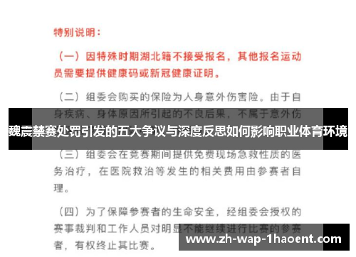 魏震禁赛处罚引发的五大争议与深度反思如何影响职业体育环境