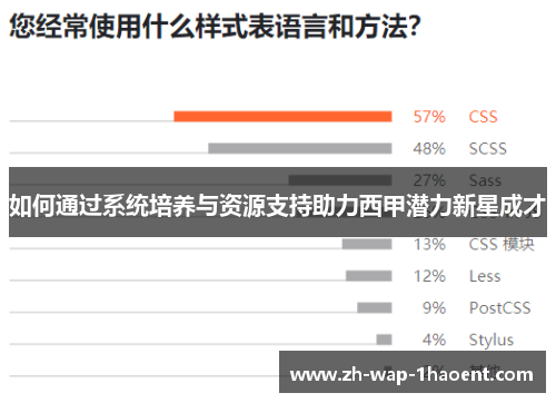 如何通过系统培养与资源支持助力西甲潜力新星成才