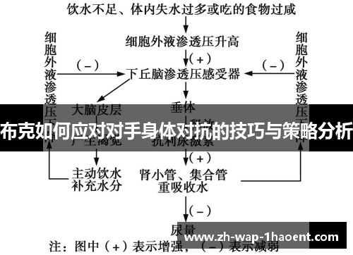 布克如何应对对手身体对抗的技巧与策略分析