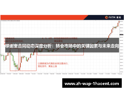 穆谢奎合同动态深度分析:转会市场中的关键因素与未来走向 穆谢奎合同动态深度分析:转会市场中的关键因素与未来走向