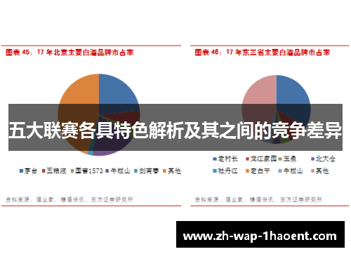 五大联赛各具特色解析及其之间的竞争差异 五大联赛各具特色解析及其之间的竞争差异