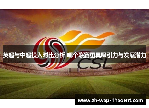 英超与中超投入对比分析 哪个联赛更具吸引力与发展潜力