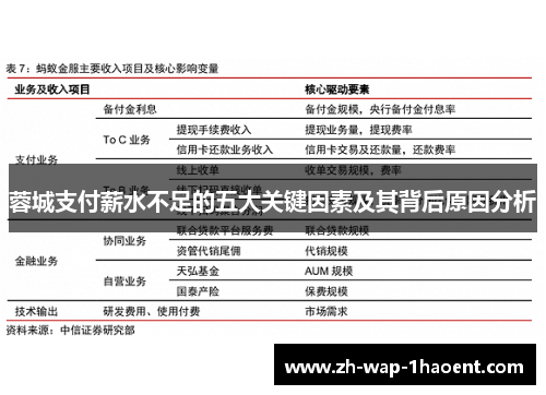 蓉城支付薪水不足的五大关键因素及其背后原因分析