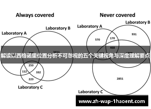 解读以西格诺里位置分析不可忽视的五个关键视角与深度理解要点